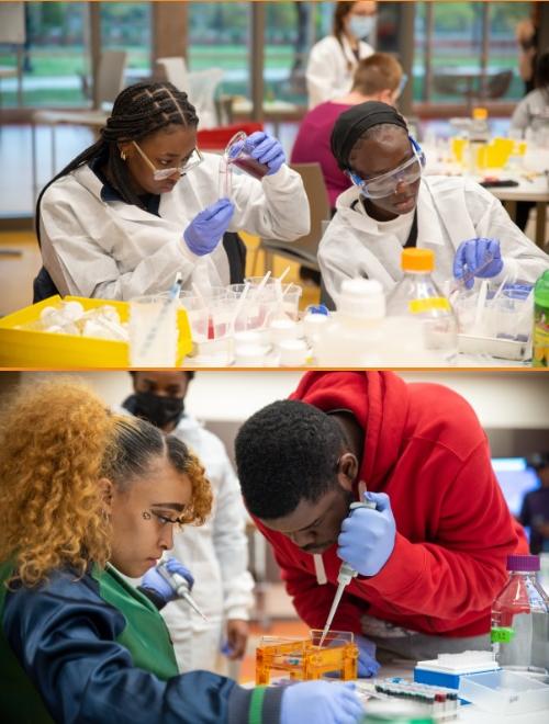 students working in a science lab environment, filling small containers with different substances